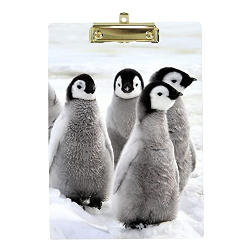 Kunststoff-Klemmbrett A4 Briefgröße Low Profile Clip, niedliche Pinguin-Klemmbretter für Studenten, Schule, Büro, Clipboard 21,8 x 31 cm mit Metall-Loch zum Aufhängen Kunststoff-Klemmbrett A4 Briefgröße Low Profile Clip, niedliche Pinguin-Klemmbretter für Studenten, Schule, Büro, Clipboard 21,8 x 31 cm mit Metall-Loch zum Aufhängen von My Daily