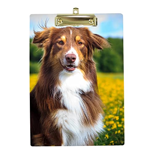 Kunststoff-Klemmbrett A4 Briefgröße Low Profile Clip, schöne Hundeblumenfelder Klemmbretter für Student Schule Büro, Clipboard 21,8 x 31 cm mit Metall-Loch zum Aufhängen von My Daily