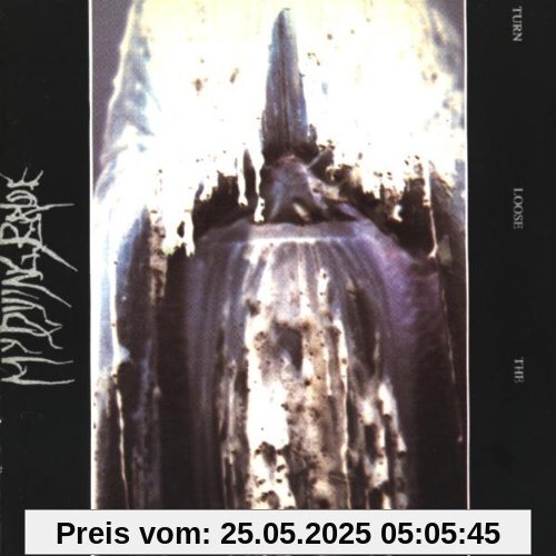 Turn Loose the Swans Turn Loose the Swans von My Dying Bride