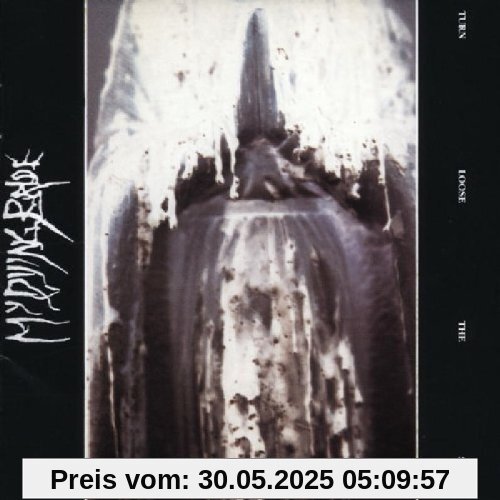 Turn Loose the Swans Turn Loose the Swans von My Dying Bride