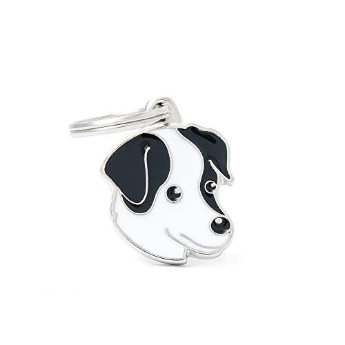 Plakette MyFamily Weiss und Schwarz Jack Russel platte Hund kostenlosen Gravur Plakette MyFamily Weiss und Schwarz Jack Russel platte Hund kostenlosen Gravur von My Family