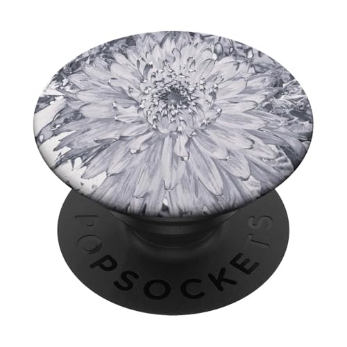 Graue und weiße Dahlienblüte PopSockets Klebender PopGrip Graue und weiße Dahlienblüte PopSockets Klebender PopGrip von My Rubio Garden