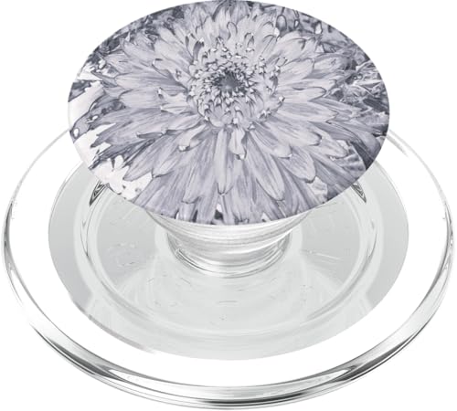 Graue und weiße Dahlienblüte PopSockets PopGrip für MagSafe Graue und weiße Dahlienblüte PopSockets PopGrip für MagSafe von My Rubio Garden
