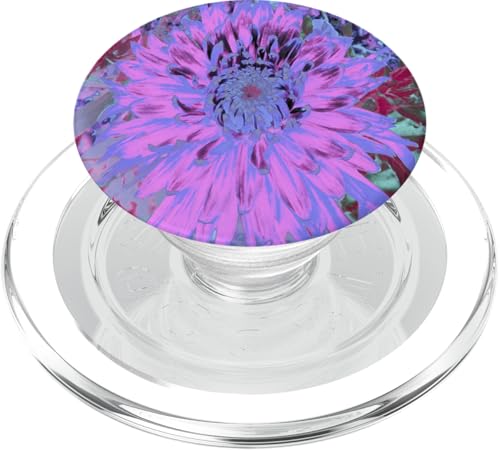 Hot Pink und Lila Dahlie Blume PopSockets PopGrip für MagSafe von My Rubio Garden