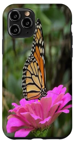 Monarch auf einer rosa Zinnia-Blume Hülle für iPhone 11 Pro von My Rubio Garden