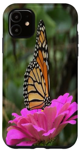 Monarch auf einer rosa Zinnia-Blume Hülle für iPhone 11 von My Rubio Garden