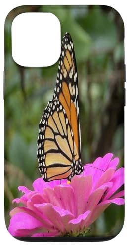 Monarch auf einer rosa Zinnia-Blume Hülle für iPhone 12/12 Pro Monarch auf einer rosa Zinnia-Blume Hülle für iPhone 12/12 Pro von My Rubio Garden