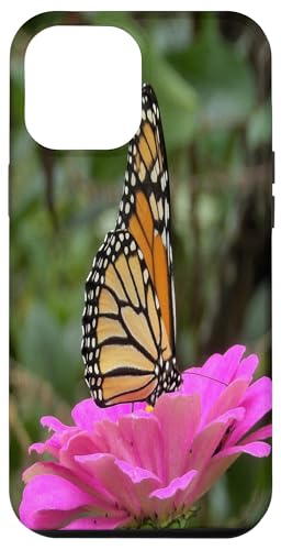 Monarch auf einer rosa Zinnia-Blume Hülle für iPhone 12 Pro Max von My Rubio Garden