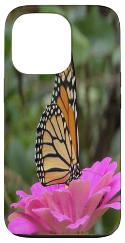 Monarch auf einer rosa Zinnia-Blume Hülle für iPhone 13 Pro von My Rubio Garden
