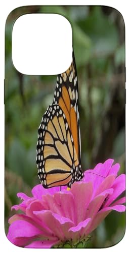 Monarch auf einer rosa Zinnia-Blume Hülle für iPhone 14 Pro Max Monarch auf einer rosa Zinnia-Blume Hülle für iPhone 14 Pro Max von My Rubio Garden