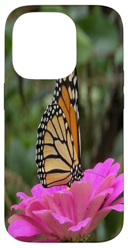 Monarch auf einer rosa Zinnia-Blume Hülle für iPhone 14 Pro von My Rubio Garden