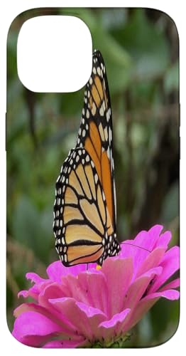 Monarch auf einer rosa Zinnia-Blume Hülle für iPhone 14 Monarch auf einer rosa Zinnia-Blume Hülle für iPhone 14 von My Rubio Garden