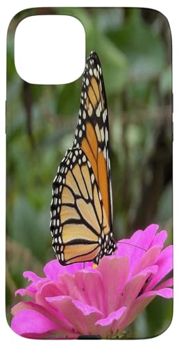 Monarch auf einer rosa Zinnia-Blume Hülle für iPhone 15 Plus von My Rubio Garden