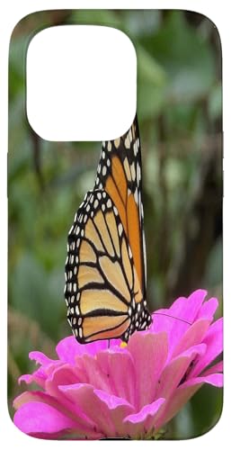 Monarch auf einer rosa Zinnia-Blume Hülle für iPhone 15 Pro von My Rubio Garden