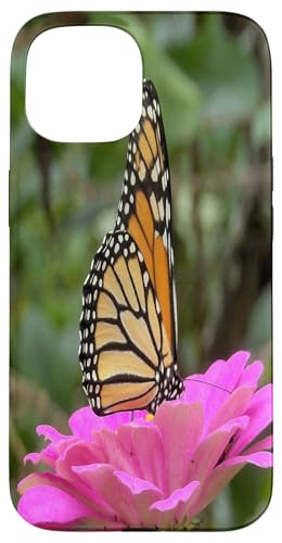 Monarch auf einer rosa Zinnia-Blume Hülle für iPhone 15 von My Rubio Garden