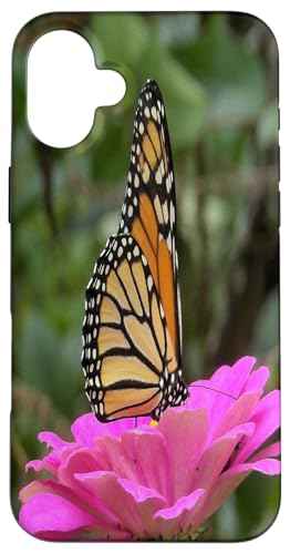 Monarch auf einer rosa Zinnia-Blume Hülle für iPhone 16 Plus von My Rubio Garden