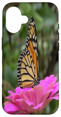 Monarch auf einer rosa Zinnia-Blume Hülle für iPhone 16 von My Rubio Garden