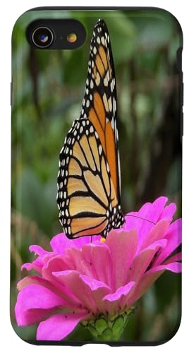 Monarch auf einer rosa Zinnia-Blume Hülle für iPhone SE (2020) / 7 / 8 von My Rubio Garden