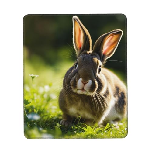 Bunny Rabbits Print Mousepad, Gaming Mousepad, Computer Mousepads für Laptop Mauspad 10x12 Zoll Office 20,9x22,5 cm Bunny Rabbits Print Mousepad, Gaming Mousepad, Computer Mousepads für Laptop Mauspad 10x12 Zoll Office 20,9x22,5 cm von MyPiky