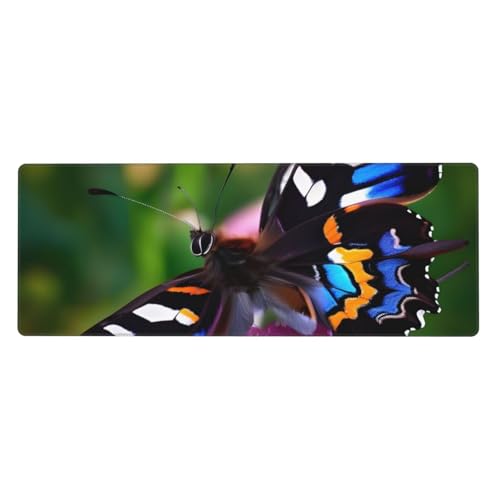 Erweitertes Gaming-Mauspad mit buntem Schmetterlings-Druck, großes Mauspad, Tastatur-Pad, Schreibtischunterlage, 80 x 30 cm, XL Erweitertes Gaming-Mauspad mit buntem Schmetterlings-Druck, großes Mauspad, Tastatur-Pad, Schreibtischunterlage, 80 x 30 cm, XL von MyPiky