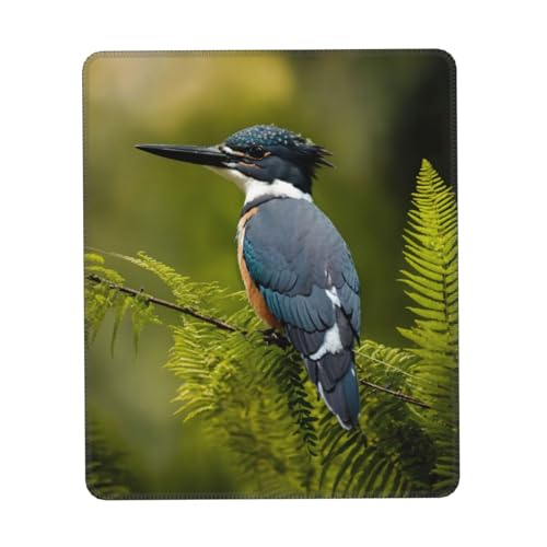 Niedliches Mauspad mit Vogeldruck, Gaming Mauspads, Computer-Maus-Matten für Laptop, Maus, 10 * 12 Zoll Büro 26,9 * 22,5 cm Niedliches Mauspad mit Vogeldruck, Gaming Mauspads, Computer-Maus-Matten für Laptop, Maus, 10 * 12 Zoll Büro 26,9 * 22,5 cm von MyPiky