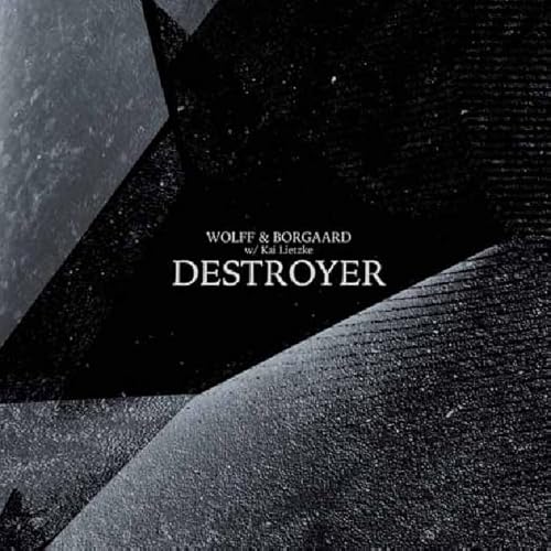 Destroyer [Vinyl LP] von Myproudmountain / Cargo