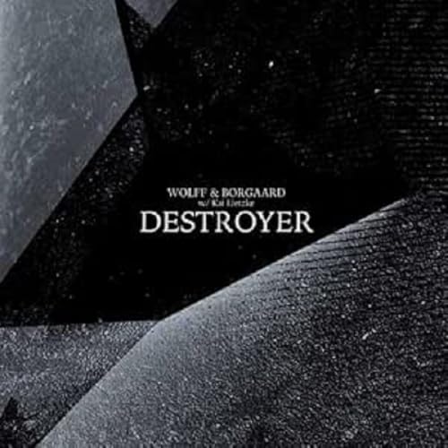 Destroyer [Vinyl LP] von Myproudmountain / Cargo