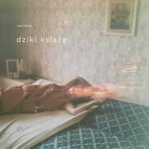 Variete: Dziki ksiĂÄšzĂ (digipack) [CD] von Mystic Production