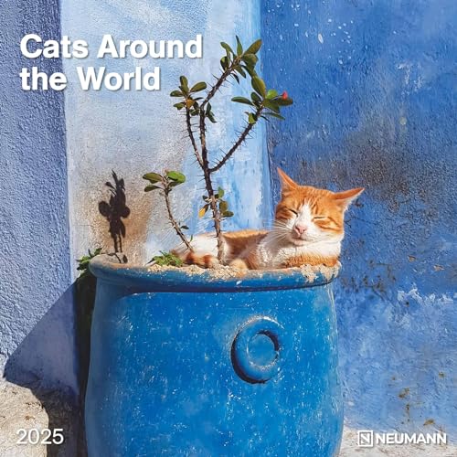 Cats Around the World 2025 - Wand-Kalender - Broschüren-Kalender - 30x30 - 30x60 geöffnet - Katzen-Kalender von N NEUMANNVERLAGE