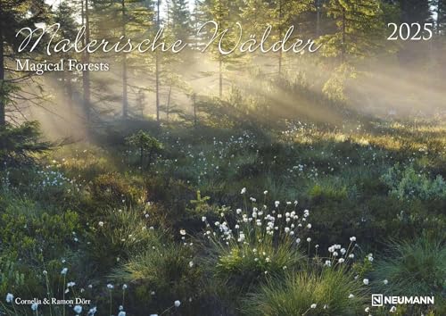 Malerische Wälder 2025 - Wand-Kalender - 42x29,7 - Wald - Natur: Magical Forests von N NEUMANNVERLAGE