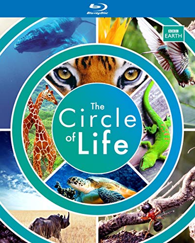 BBC Earth - The Circle of Life (1 Blu-ray) von N.V.T. N.V.T.
