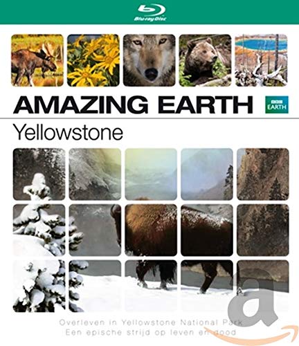 BLU-RAY - BBC earth - Yellowstone tales from the wild (1 Blu-ray) von N.V.T. N.V.T.