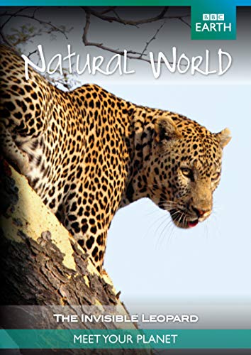 DVD - Natural World The Invisible Leopar (1 DVD) von N.V.T. N.V.T.