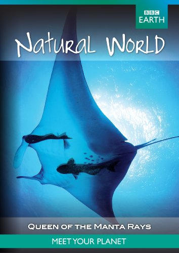 Natural World - Queen of the Manta Rays (1 DVD) von N.V.T. N.V.T.