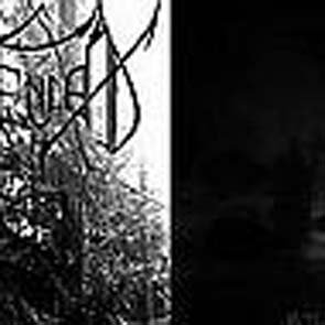 Total Necro Deceased Split CD Total Necro Deceased Split CD von NA