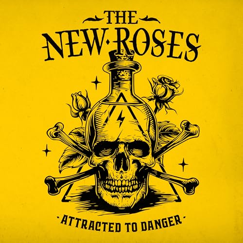 Attracted to Danger [Vinyl Single] von NAPALM RECORDS