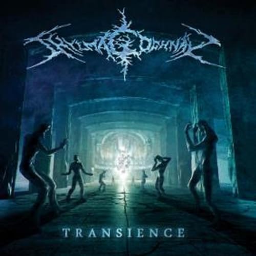 Transience (2LP) von NAPALM RECORDS