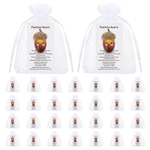 Inspirierendes Geschenk-Set mit Aufschrift "You're Great Cheer Up", Dankeskarten, Mini-Positiv, künstliches Taschengeschenk, Eicheln, Organza, Umarmungshosen, Häkeln, neutrale Karte, Unterstützung Inspirierendes Geschenk-Set mit Aufschrift "You're Great Cheer Up", Dankeskarten, Mini-Positiv, künstliches Taschengeschenk, Eicheln, Organza, Umarmungshosen, Häkeln, neutrale Karte, Unterstützung von NAUXIU