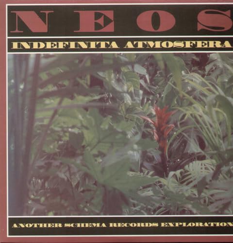 Indefinita Atmosfera [Vinyl LP] von NAXOS