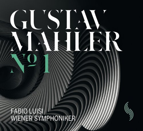 Mahler: Symphony No. 1 [Vinyl Maxi-Single] von NAXOS