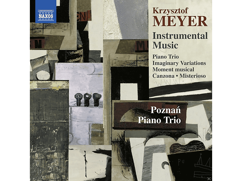 Poznan Piano Trio - Krzysztof Meyer Instrumental Music (CD) von NAXOS