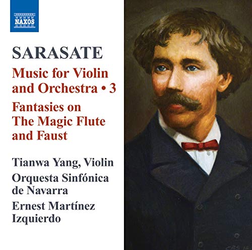 Werke für Violine/Orchester V Werke für Violine/Orchester V von NAXOS