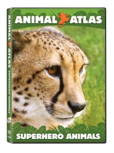 Animal Atlas: Super Hero Animals [DVD] [Region 1] [NTSC] [US Import] von NCircle Entertainment