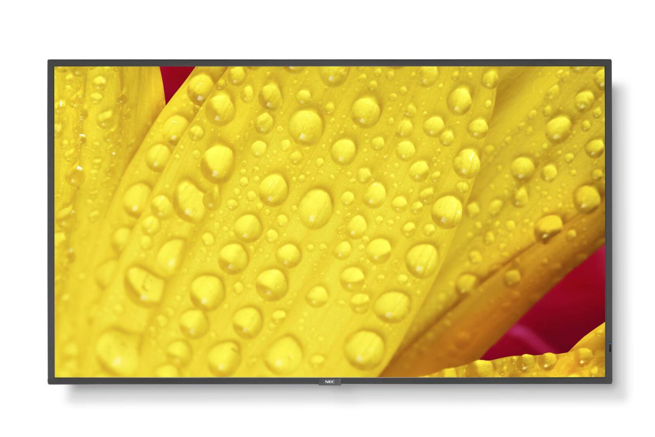 NEC MultiSync® M501-2 Digital Signage Display 125,7 cm 50 Zoll von Sharp NEC Display Solutions