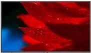 NEC MultiSync MA551 - 138.8 cm (55) Diagonalklasse MA Series LCD-Display mit LED-Hintergrundbeleuchtung - Digital Signage - 4K UHD (2160p) 3840 x 2160 - HDR - kantenbeleuchtet - Schwarz - Sonderposten von NEC
