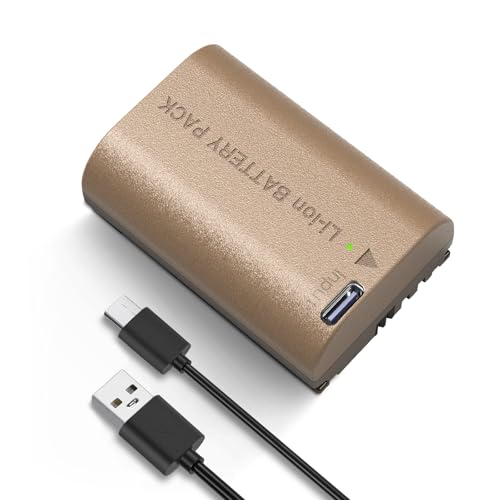 NEEWER 2400mAh LP-E6P LP-E6 LP-E6N LP-E6NH Ersatzakku, Vollständig aufgeladen in 3,3 Std., kompatibel mit Canon EOS R5 Mark II EOS R5 EOS R6 EOS R7 EOS R 5D II III IV 6D 6D II 7D 7D II 60D 70D 80D 90D von NEEWER