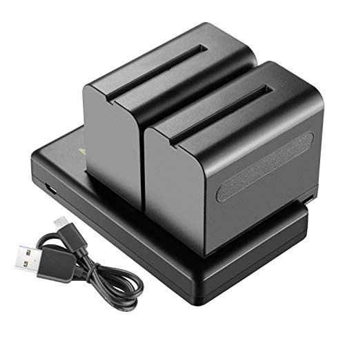 NEEWER 2er-Pack 6600mAh Li-Ionen-Ersatzakku mit USB-Ladegerät, kompatibel mit Sony NP-F970 F960 F950 F770 F750 F570 F550, Handycams und NEEWER LED-Licht, Monitor, motorisiertem Slider von NEEWER