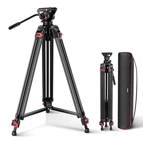 NEEWER 74" Pro Videostativ mit Fluidkopf,Robustes Aluminiumstativ mit 360°Schwenk&160° Neigekopf,QR Platte kompatibel mit Manfrotto 501,Durchmesser 75mm Schüsselsockel für DSLR Kamera Camcorder, GM88 von NEEWER