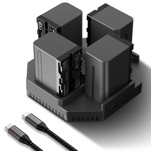 NEEWER NP-F970 4 Stück 7800mAh Ersatzakkus und 100W PD 4 Kanal OLED Schnellladegerät für NP-F550 NP-F750 NP-F970 Camcorder Batterie, mit 100W USB C Kabel für Handycam NEEWER LED Licht Monitor von NEEWER