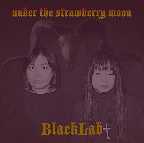 Under the Strawberry Moon von NEW HEAVY SOUNDS